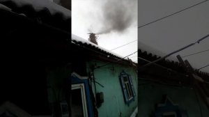 Самодельная сажетруска