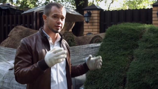 Газон «Теневыносливый» (Классический) смотреть онлайн