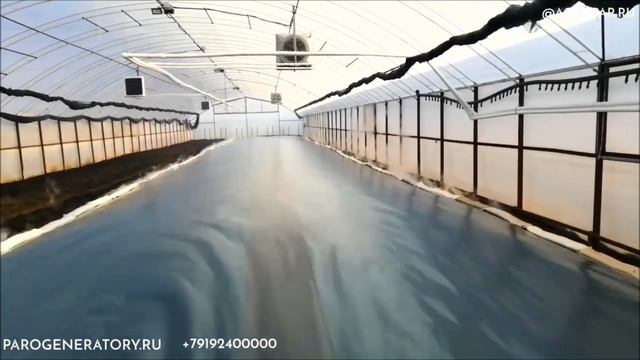 N1 в Европе Дезинфекция почвы паром, Парогенераторы от производителя опытом более 70лет! Эустома смотреть онлайн