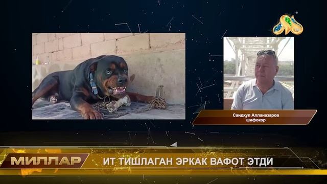 ❗️ИТ ТИШЛАГАН ЭРКАК ВАФОТ ЭТДИ❗️