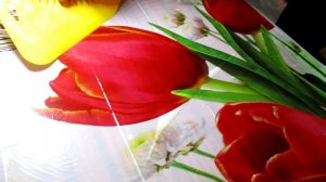 Поклейка самоклеющейся пленки МК   с Алёной