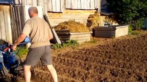 Мотоблок Нева МБ-23 с ежиками