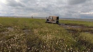 Борус комфорт покоряет болота Ямала.