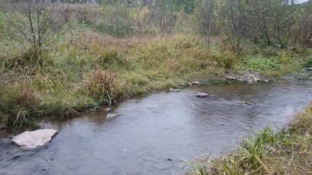 Осенняя природа Кировской области смотреть онлайн