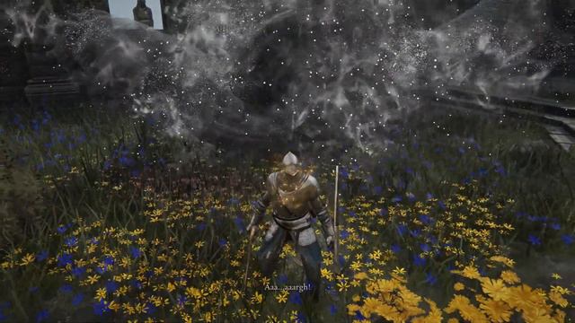Killing Miriel Pastor of Vows in Elden Ring
