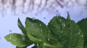 7 мая - Евсеев день. Расказываю как я умываюсь, чтобы не маятся и привлечь достаток на целый год.