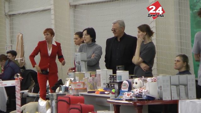 БИШОН ФРИЗЕ ЗЕВС СТАЛ ПОБЕДИТЕЛЕМ смотреть онлайн