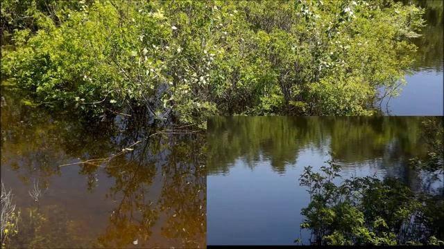 Краснослободск за городом. 27 мая 2020 Волгоградская обл S3200 720p
