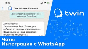 Twin. Как подключить бота в WhatsApp