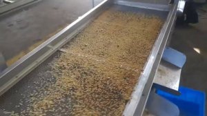 Установка дробления орехов (арахис, фундук, кешью и др) с рассевом по фракциям: P.F.M.G.-компани.