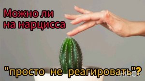 Можно ли на нарцисса "просто не реагировать" ?