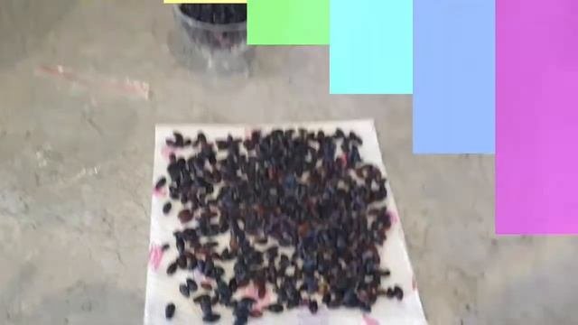 Заморозки 2020 на зиму