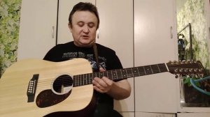 Предварительный обзор 12 струнной гитары Martin D12X1AE.