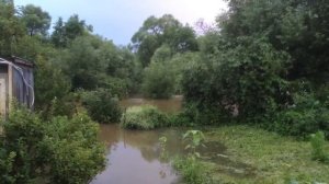 Река Угодка 20.07.2016.mp4