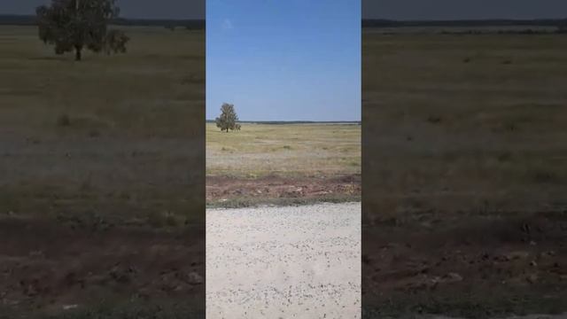 такой ремонт дороги может только снится смотреть онлайн