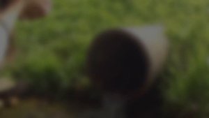 Сколько стоят дома в белорусской деревне /Мы в шоке от таких цен /Ищем дом в деревне для друга /