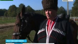 "Лошадь кабардинской породы самая выносливая во всём мире"