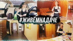 #ЖивемНаДаче день 8 | Уехала в Москву | Нас с Кариной сравнивают.