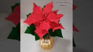 пуансеттия