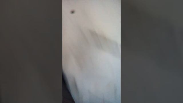 у нас друг 15 дней назад провалился под лед в болото и мы его ищем смотреть онлайн