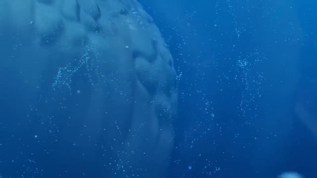 bloop vs el gran majá смотреть онлайн