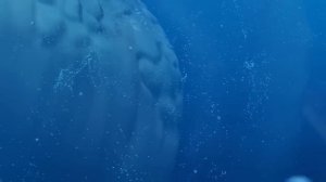 bloop vs el gran majá