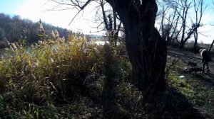 На "Круглом" в Воронеже,рыба не ловится.