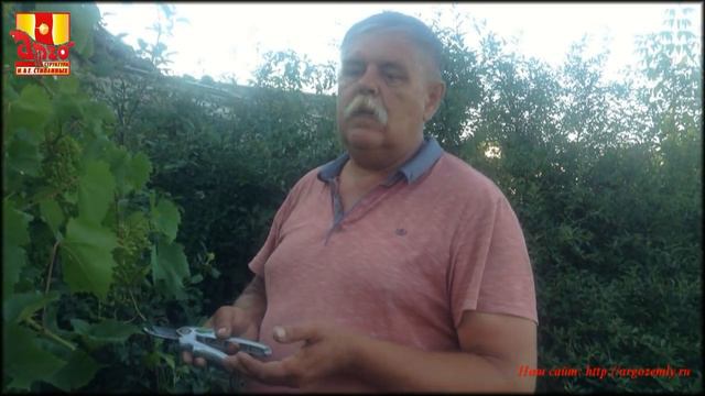 Органическое земледелие смотреть онлайн