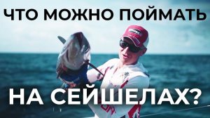 НЕВЕРОЯТНЫЙ СПИСОК РЫБ ДЛЯ ЛОВЛИ НА СЕЙШЕЛАХ | GOLD MARLIN