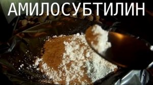 Свиньи  Ферменты для ускоренного роста