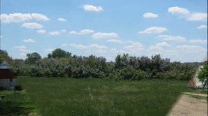 Гимн Образцам, Арчединское сельское поселение, автор Блохина Марина,