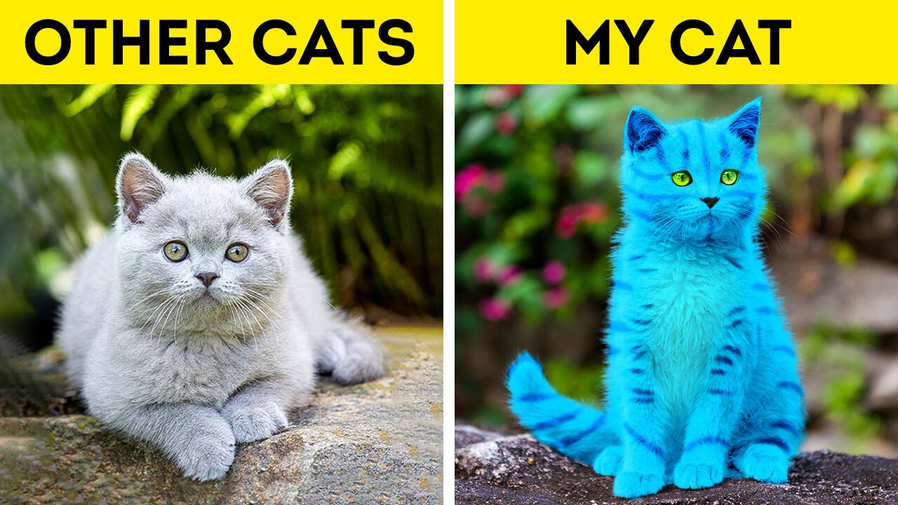 Детские гаджеты и хаки для питомцев?? смотреть онлайн