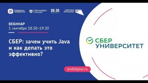 Сбер: зачем учить Java, Python, HTML, CSS и JavaScript и как делать это эффективно?