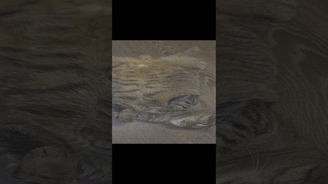 Зайчик смотреть онлайн