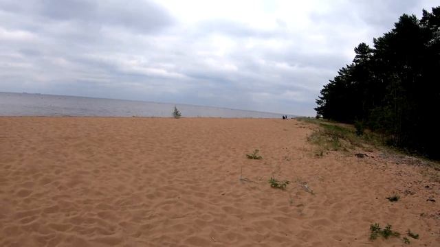 Отдыхаем на берегу Финского залива 2 день... смотреть онлайн