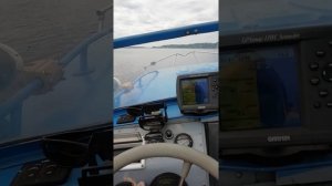 Амур-2 в деле