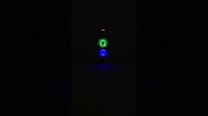 Дискобар,Любовь Гусева-Каролина