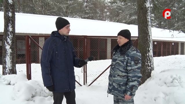 Школа безопасности 20.02.2020 Собаки смотреть онлайн