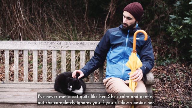 Wetlands Awaken | Microseasons | No.60 смотреть онлайн