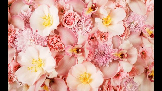 С Днем Рождения, Леночка! Марина смотреть онлайн