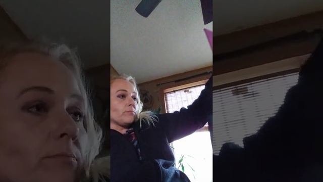 I spy spooky night смотреть онлайн