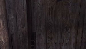 Лучшая сборка Skyrim 2022!!! | REQUIEM FOR A DREAM BY IMMERSIVE CHICKEN