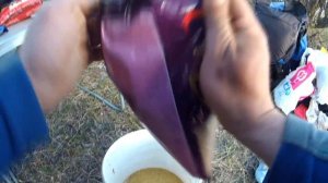 Фидер в апреле !р. Днепр! Злая плотва !!! День первый !