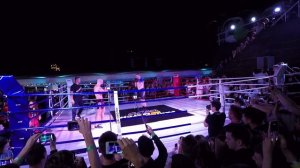 РЕВАНШ БОЙ АНДРЕЙ МАРТЫНЕНКО VS МОПС ДЯДЯ ПЕС! МАРТЫНЕНКО СЛОМАЛ РУКУ МОПСУ!