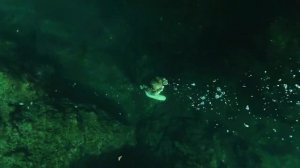 Нырнула в природный водоем