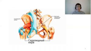 Почему от страха подкашивают ноги