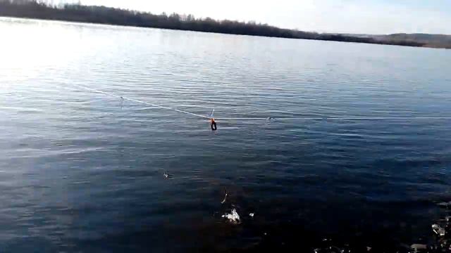 Река Томь. Перемет.
