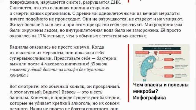 Про бессмертные бактерии