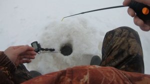 Тактика поиска судака зимой на большом озере без рельефа . Ловля судака зимой