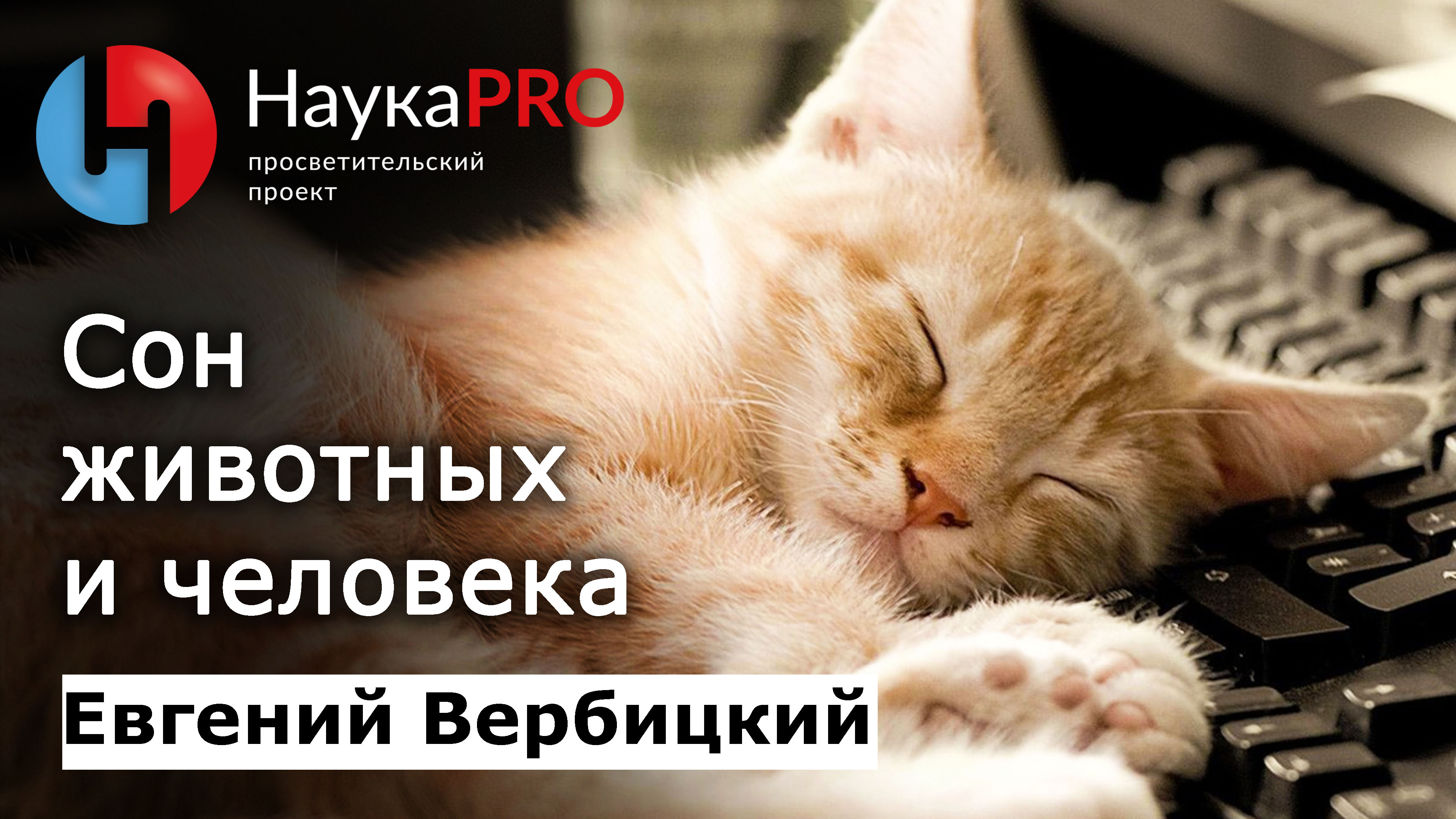 Сон животных и человека | Сомнология и медицина сна – сомнолог Евгений Вербицкий | Научпоп